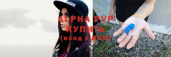 гидра Шали