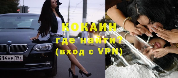 прущие грибы Щигры