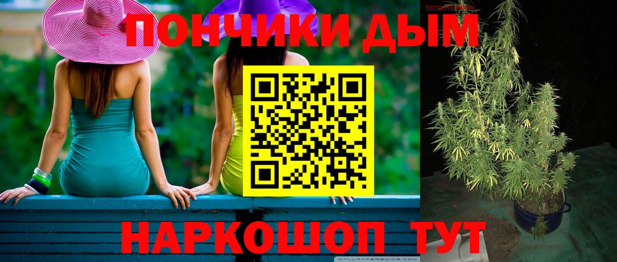 Бошки марихуана планчик  Шишки марихуана Amnesia  Симферополь  Вход с VPN  Шишки марихуана Bruce Banner 
